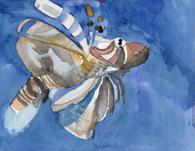 Flying. Watercolor and pencil on paper, 9 x 11.5 in (23 x 29 cm). Fig. 257