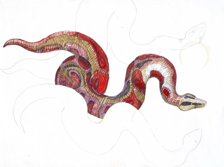 Snake. Permanent marker on paper. 24 x 18 in (45.3 x 61 cm). Fig. 118