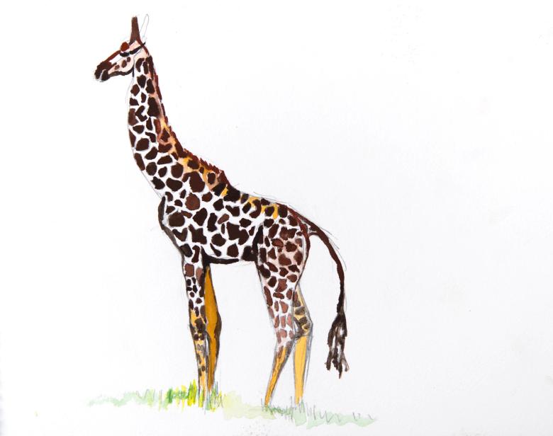 Giraffe. Gouache and pencil on artist paper, 9 x 11.5 in (22.8 x 29 cm). Fig. 228