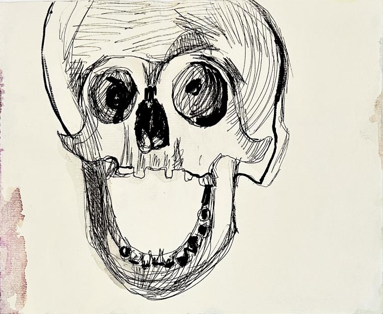 Bolivia, skul. Ink pen on paper. 7 X 8.5 in (18 x 22 cm). Fig. 409