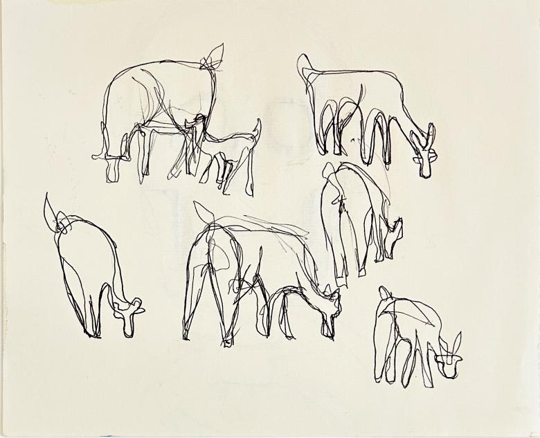 Bolivia, vicunas. Ink pen on paper. 7 X 8.5 in (18 x 22 cm)