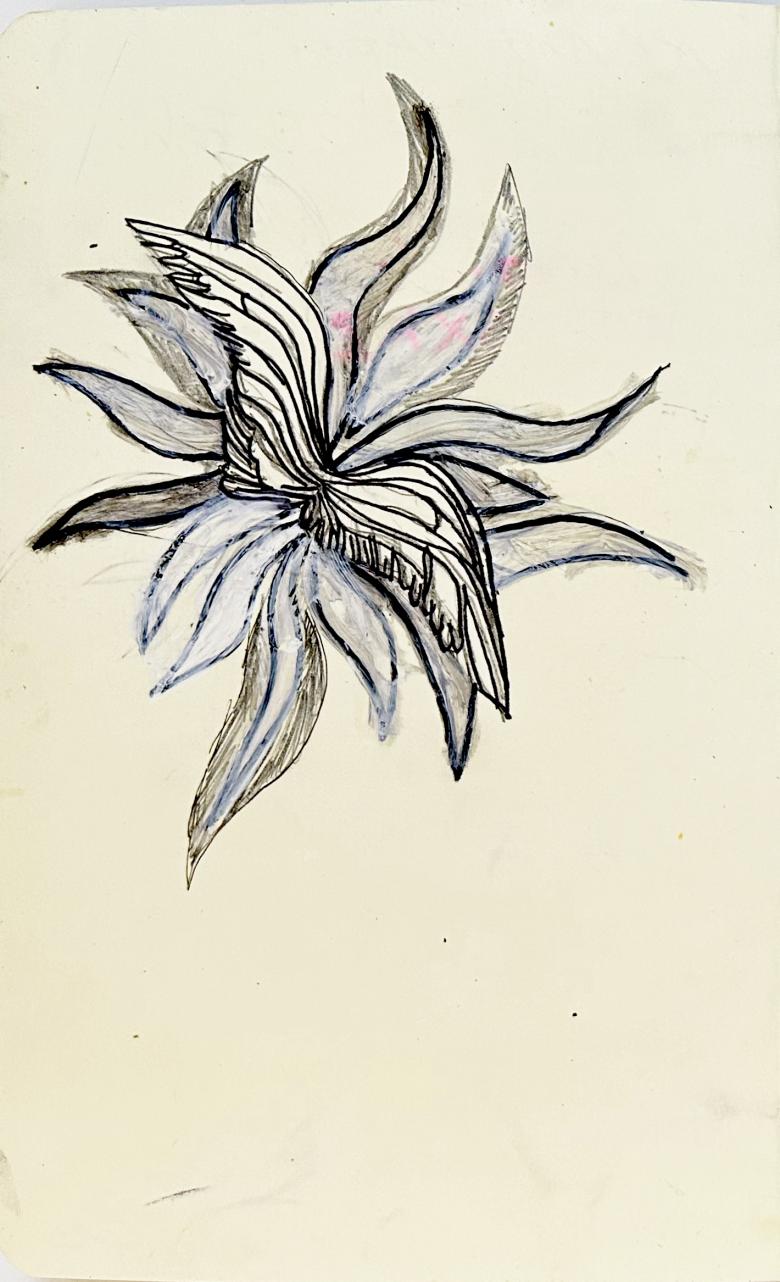 Sketchbook. White and Gray Flower. Ink pen, pencil and gouache on artist paper. 8 x 5 in (21 x 13 cm). Fig. 389
