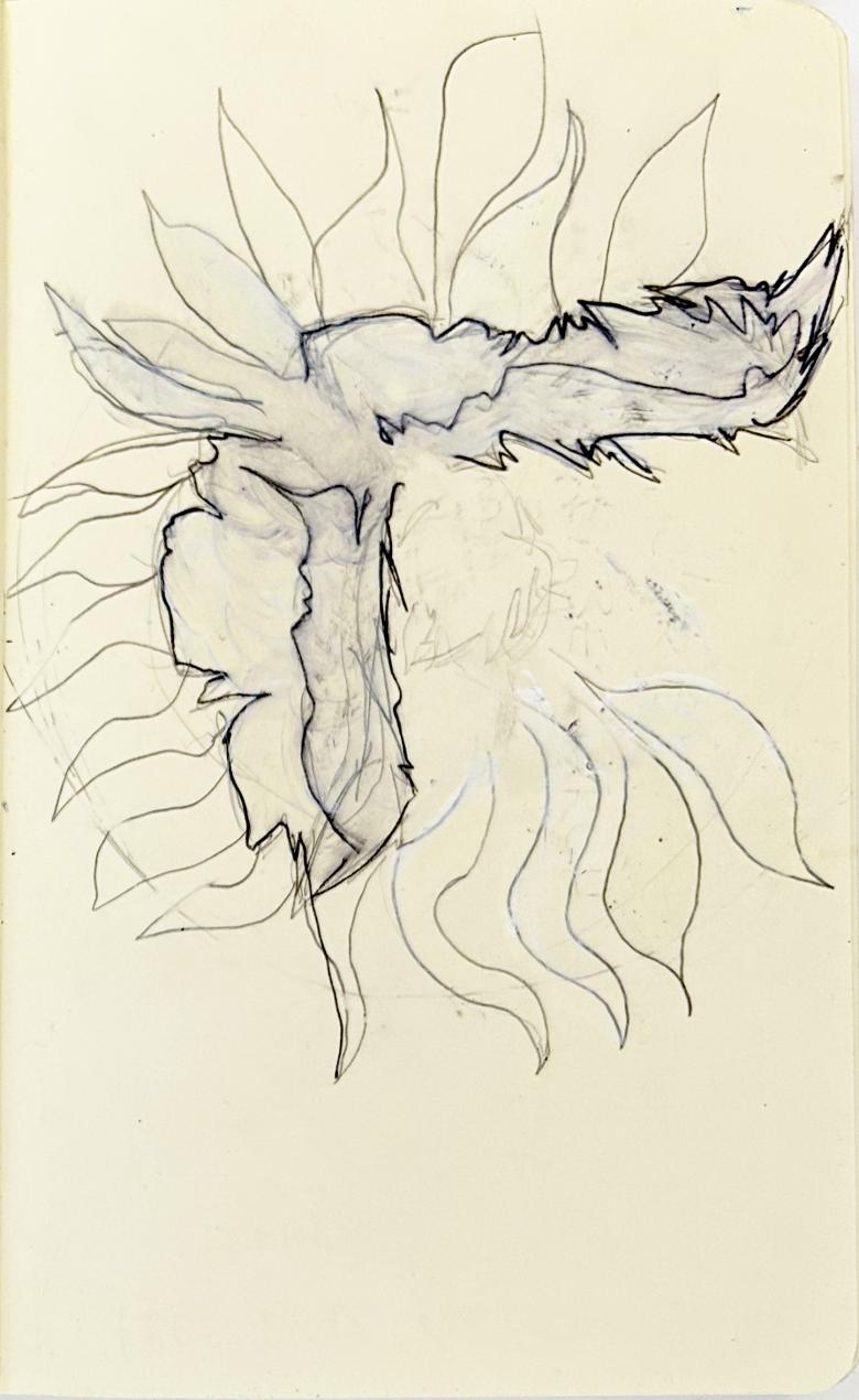 Sketchbook. White and Gray Flower. Ink pen, pencil and gouache on artist paper. 8 x 5 in (21 x 13 cm). Fig. 390