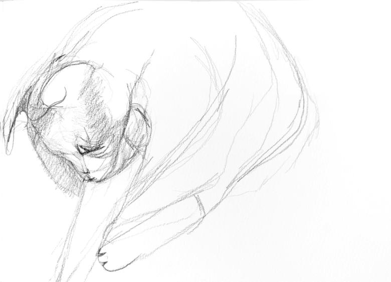 Maha. Pencil on artist paper. 8.1 x 11.5 in (21 x 29.5 cm). Fig. 203