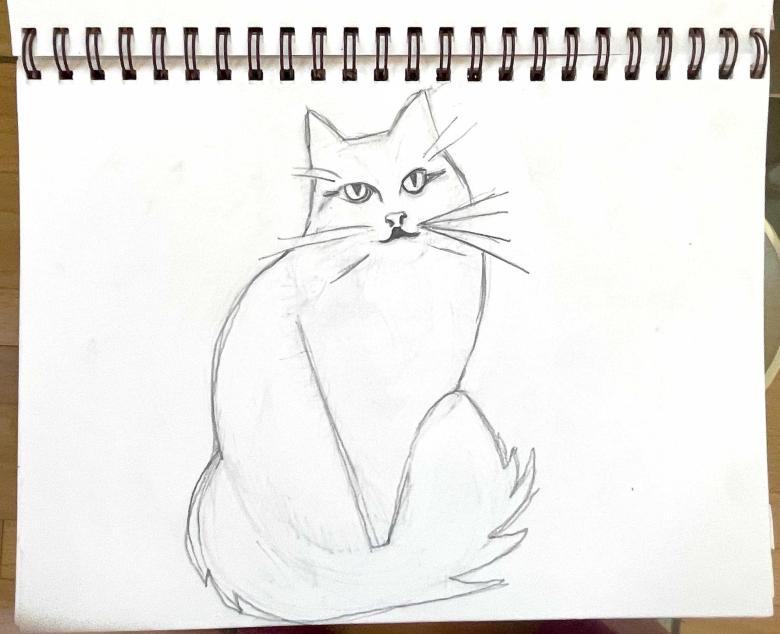 Sasha. Pencil on artist paper. 9 x 12 in (23 x 30.5 cm). Fig. 325