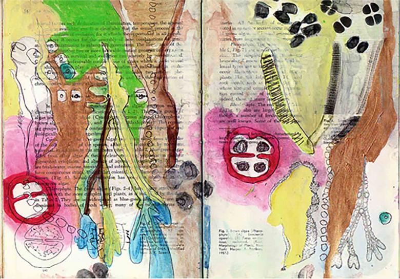 Biological Book.  Watercolor and ink on paper, 8x12 in - 20x30.5 cm. Fig. 275